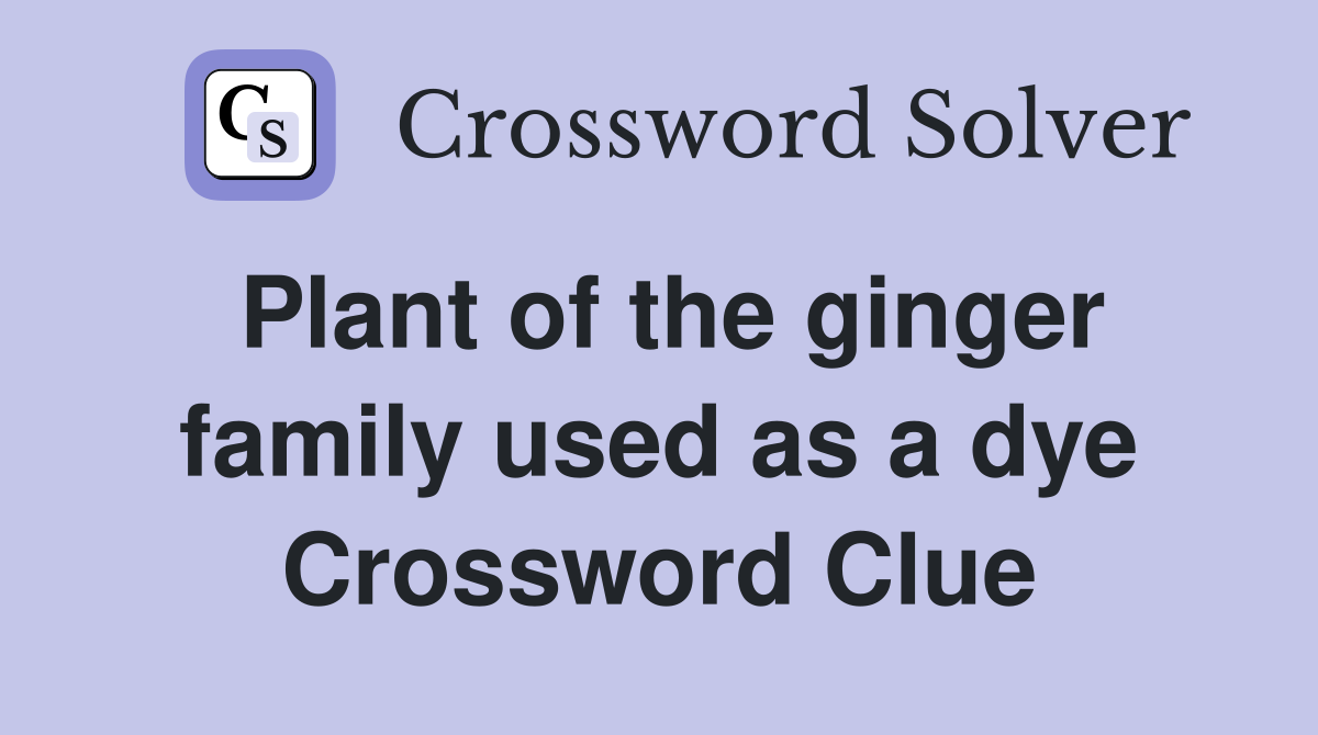 Plant of the ginger family used as a dye Crossword Clue