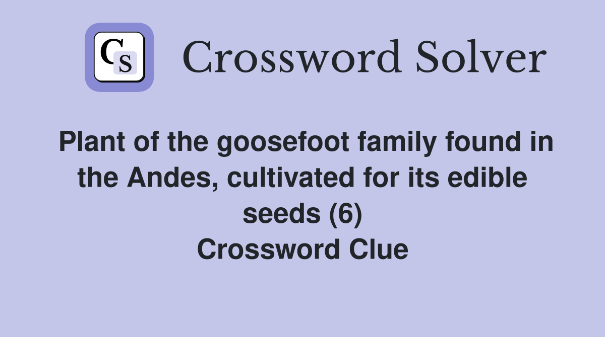 Plant of the goosefoot family found in the Andes, cultivated for its edible seeds (6) Crossword Clue