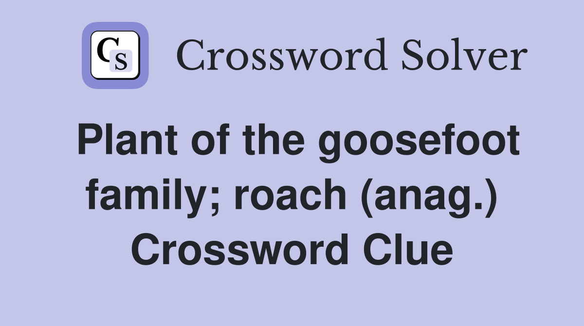 Plant of the goosefoot family; roach (anag.) Crossword Clue