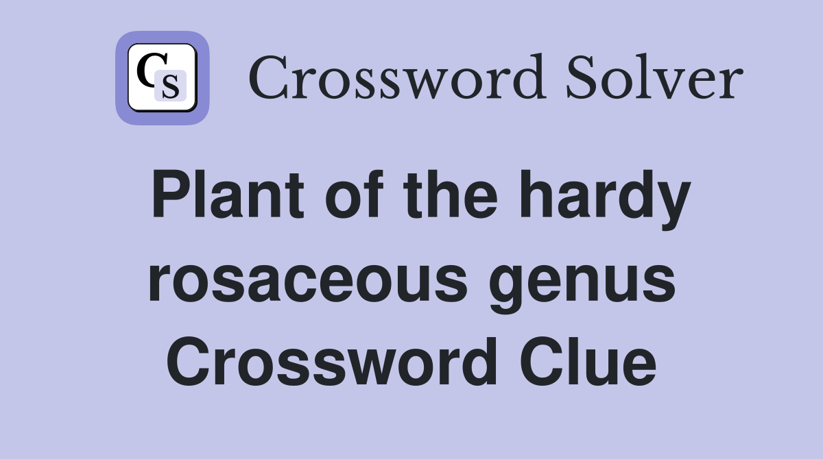 Plant of the hardy rosaceous genus Crossword Clue