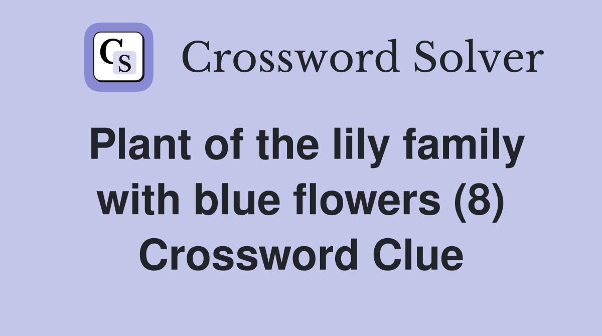 Plant of the lily family with blue flowers (8) Crossword Clue