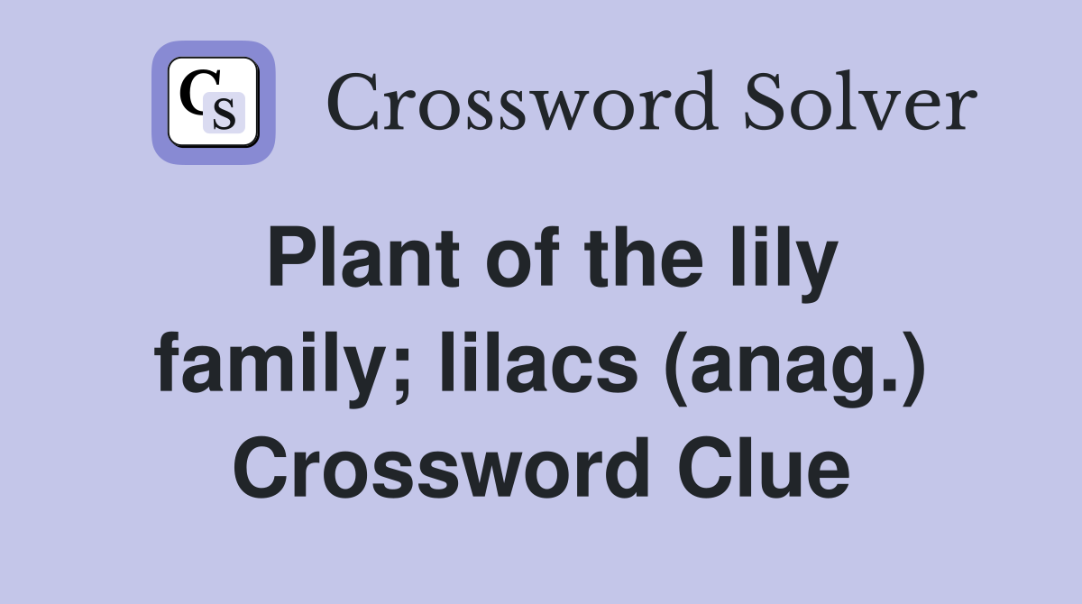 Plant of the lily family; lilacs (anag.) Crossword Clue