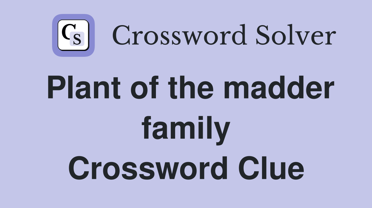 Plant of the madder family Crossword Clue