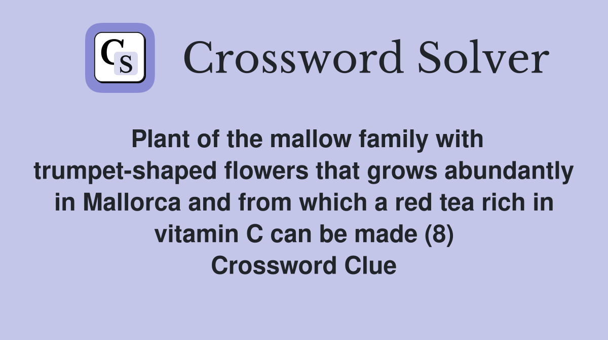 Plant of the mallow family with trumpet-shaped flowers that grows abundantly in Mallorca and from which a red tea rich in vitamin C can be made (8) Crossword Clue