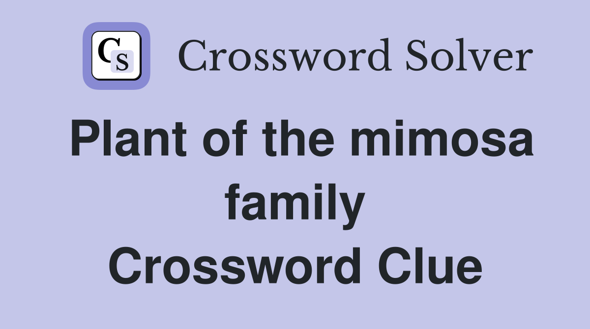 Plant of the mimosa family Crossword Clue