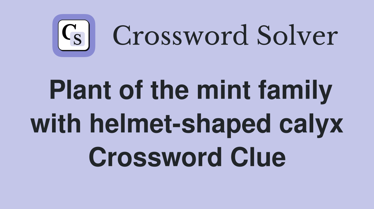 Plant of the mint family with helmet-shaped calyx Crossword Clue
