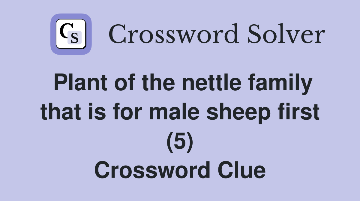 Plant of the nettle family that is for male sheep first (5) Crossword Clue