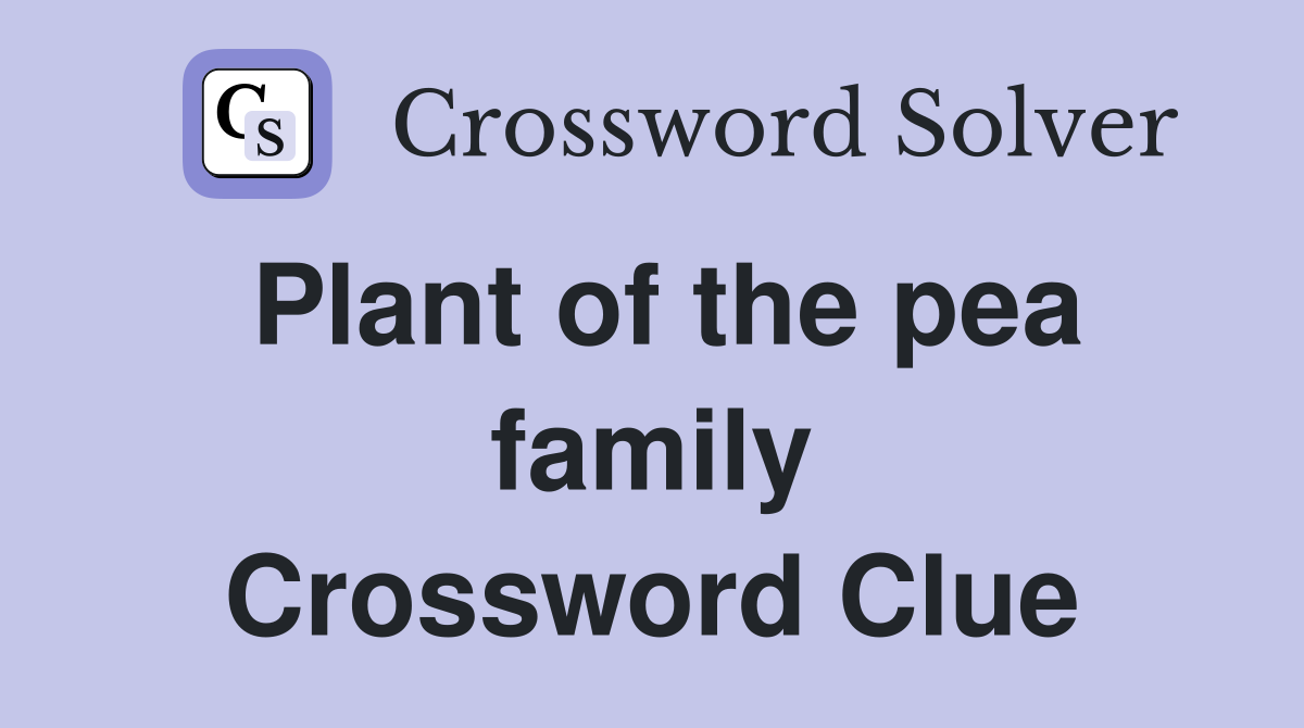 Plant of the pea family Crossword Clue