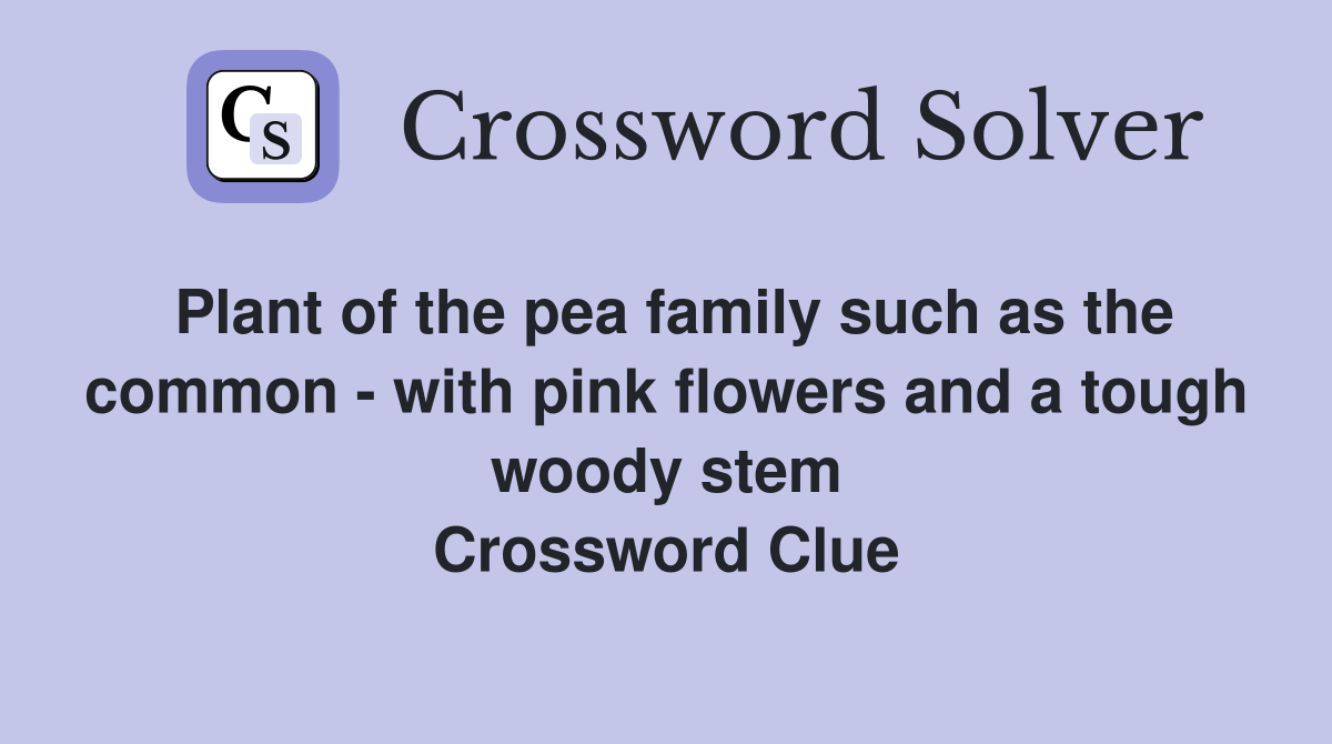 Plant of the pea family such as the common - with pink flowers and a tough woody stem Crossword Clue