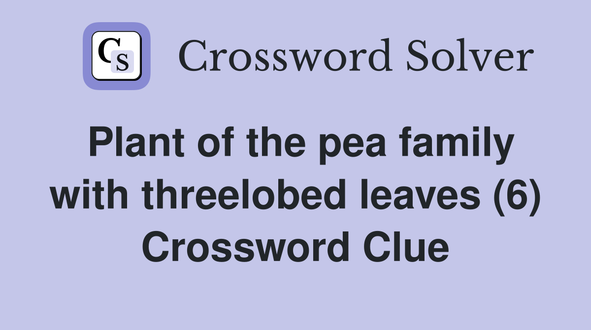 Plant of the pea family with threelobed leaves (6) Crossword Clue