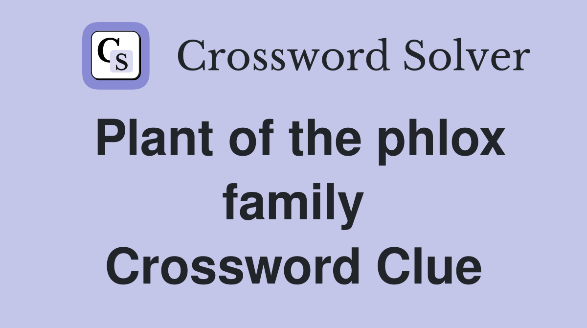 Plant of the phlox family Crossword Clue