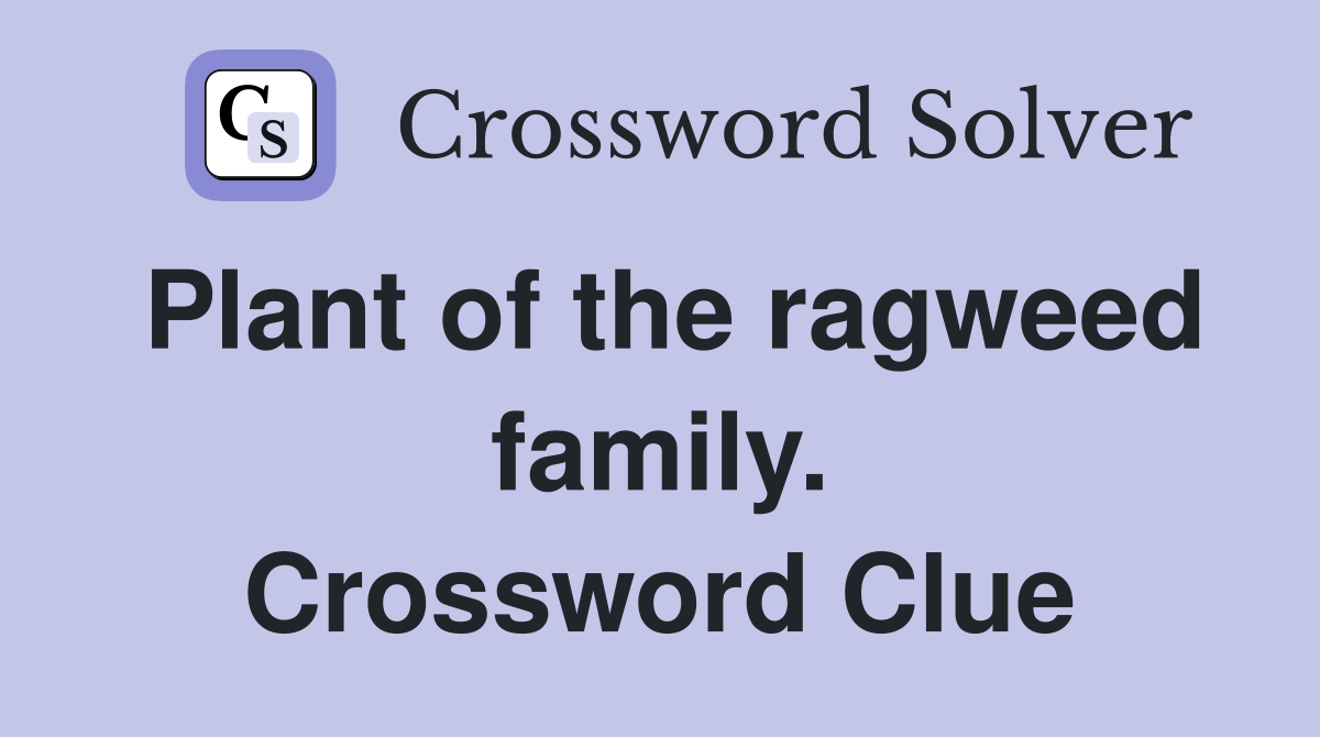 Plant of the ragweed family. Crossword Clue