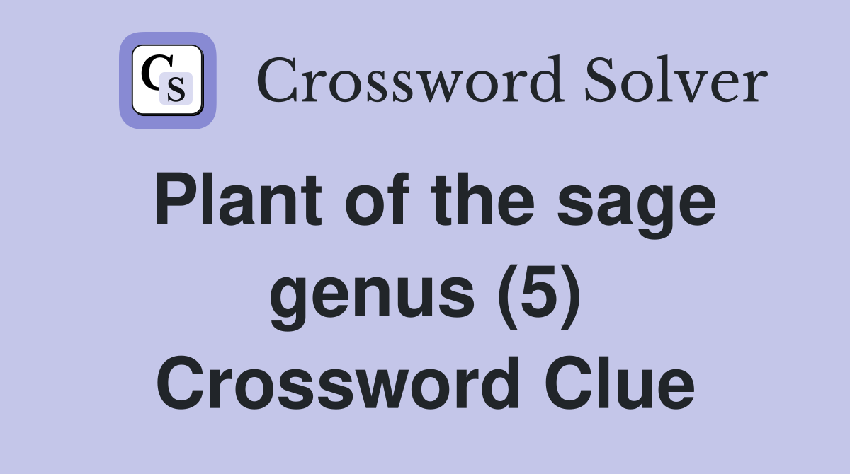 Plant of the sage genus (5) Crossword Clue