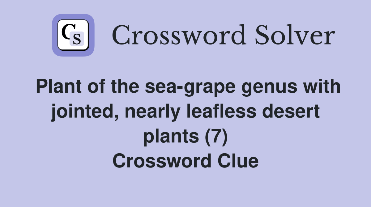 Plant of the sea-grape genus with jointed, nearly leafless desert plants (7) Crossword Clue