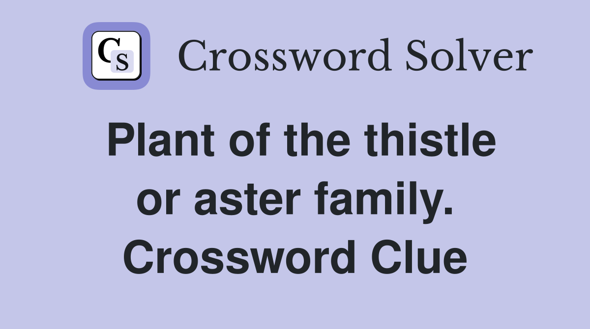 Plant of the thistle or aster family. Crossword Clue