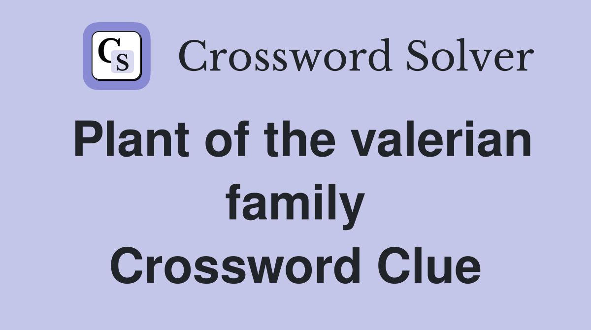 Plant of the valerian family Crossword Clue