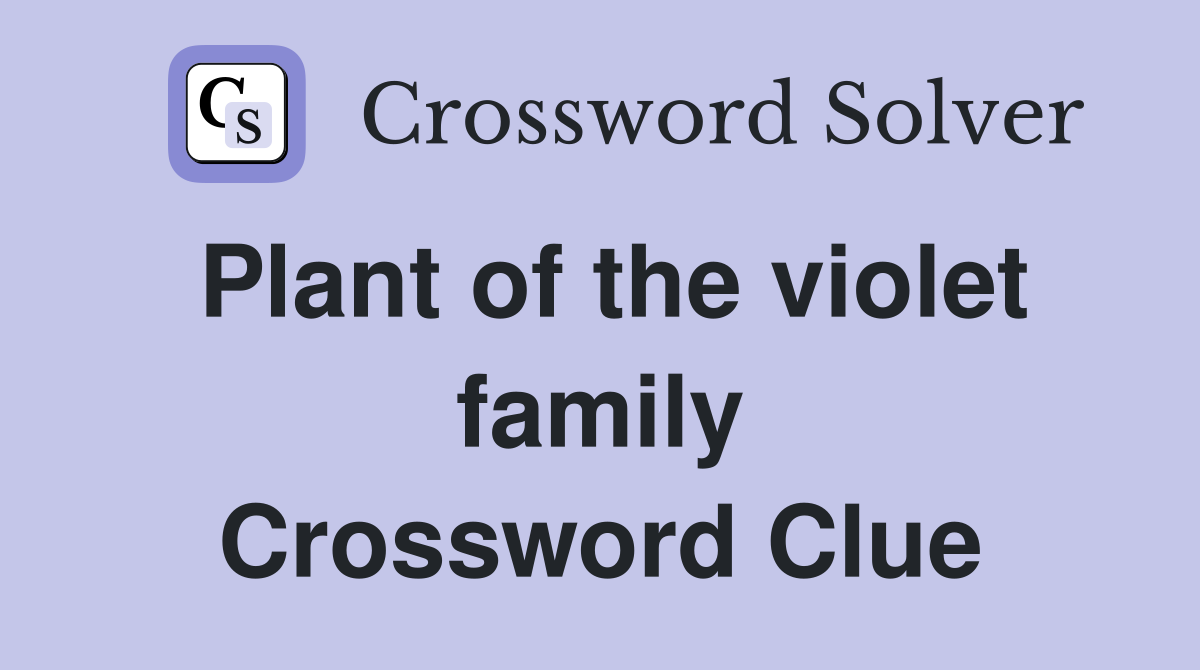 Plant of the violet family Crossword Clue
