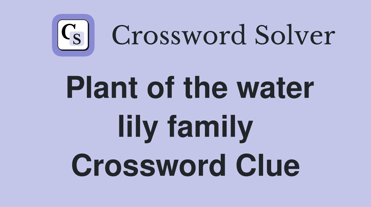 Plant of the water lily family Crossword Clue