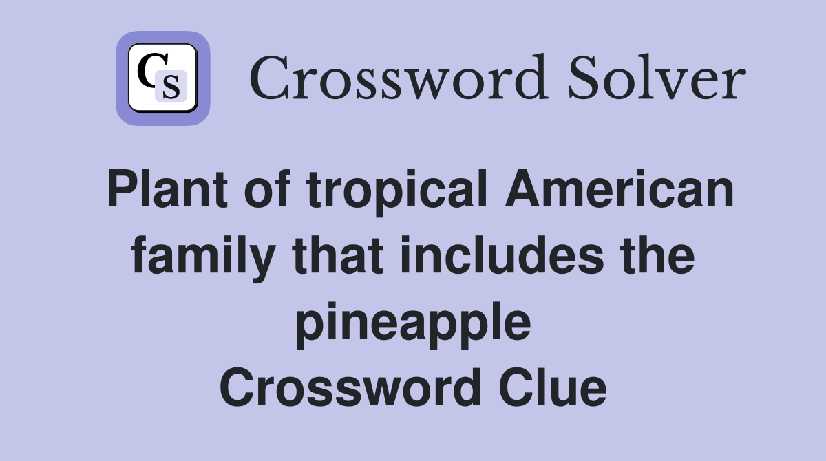 Plant of tropical American family that includes the pineapple Crossword Clue