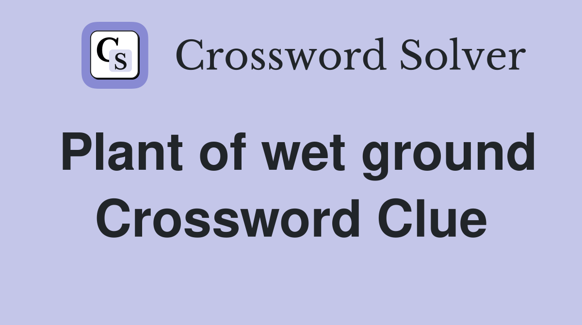 Plant of wet ground Crossword Clue