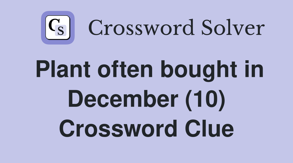 Plant often bought in December (10) Crossword Clue