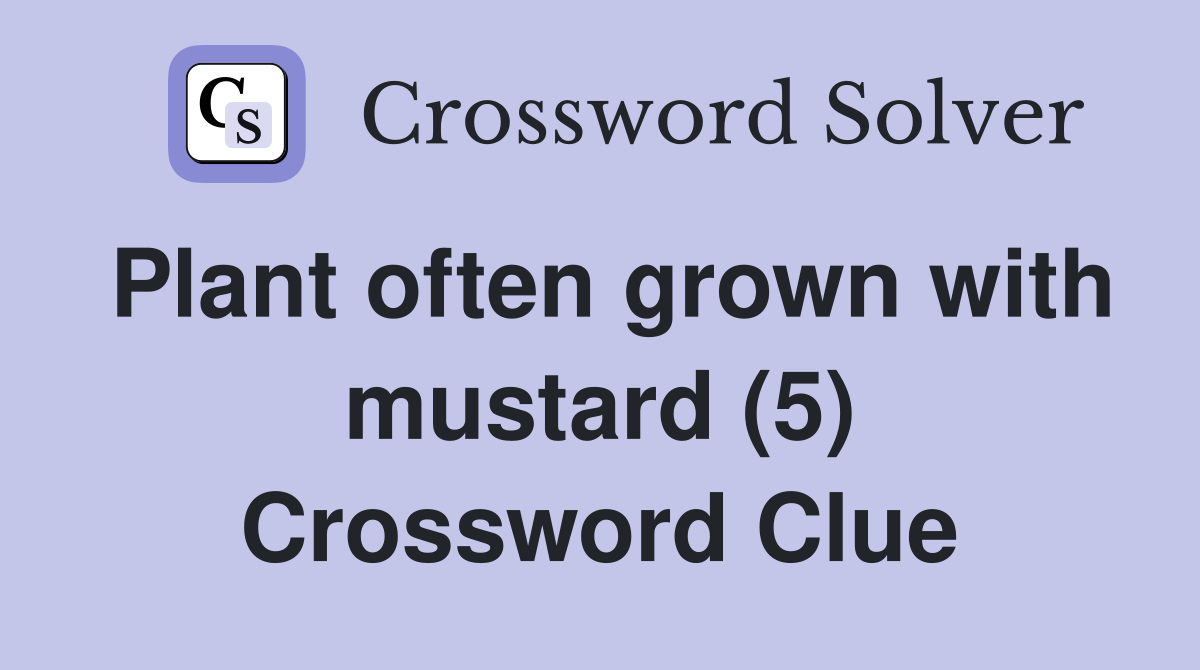 Plant often grown with mustard (5) Crossword Clue