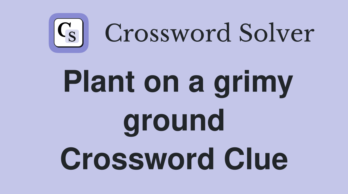 Plant on a grimy ground Crossword Clue