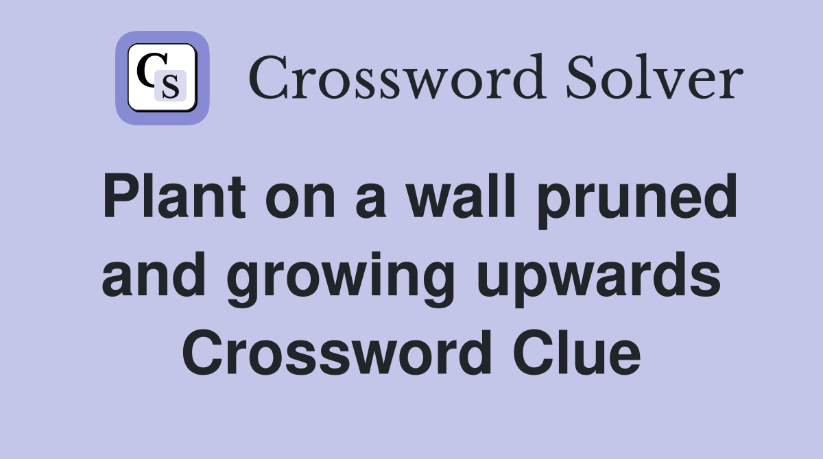 Plant on a wall pruned and growing upwards Crossword Clue