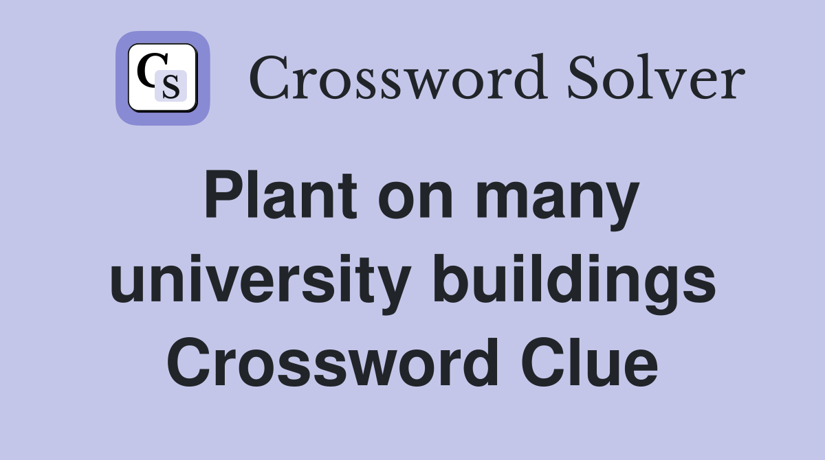 Plant on many university buildings Crossword Clue