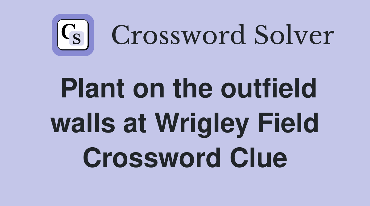 Plant on the outfield walls at Wrigley Field Crossword Clue