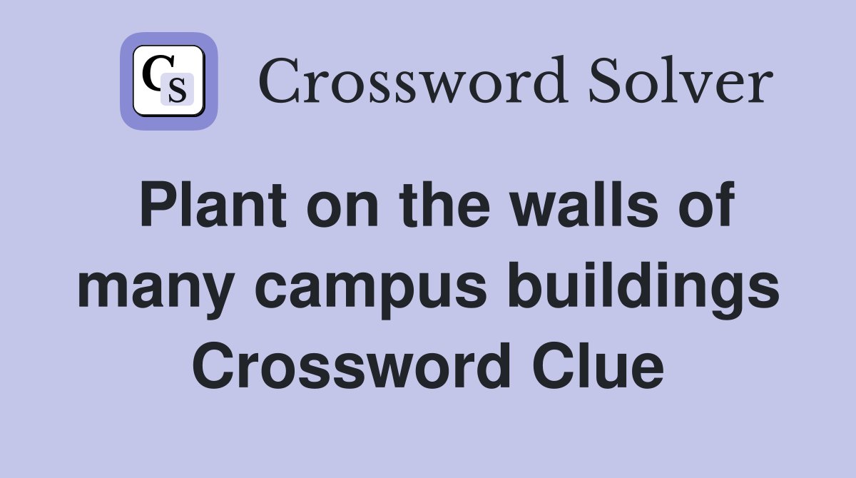 Plant on the walls of many campus buildings Crossword Clue