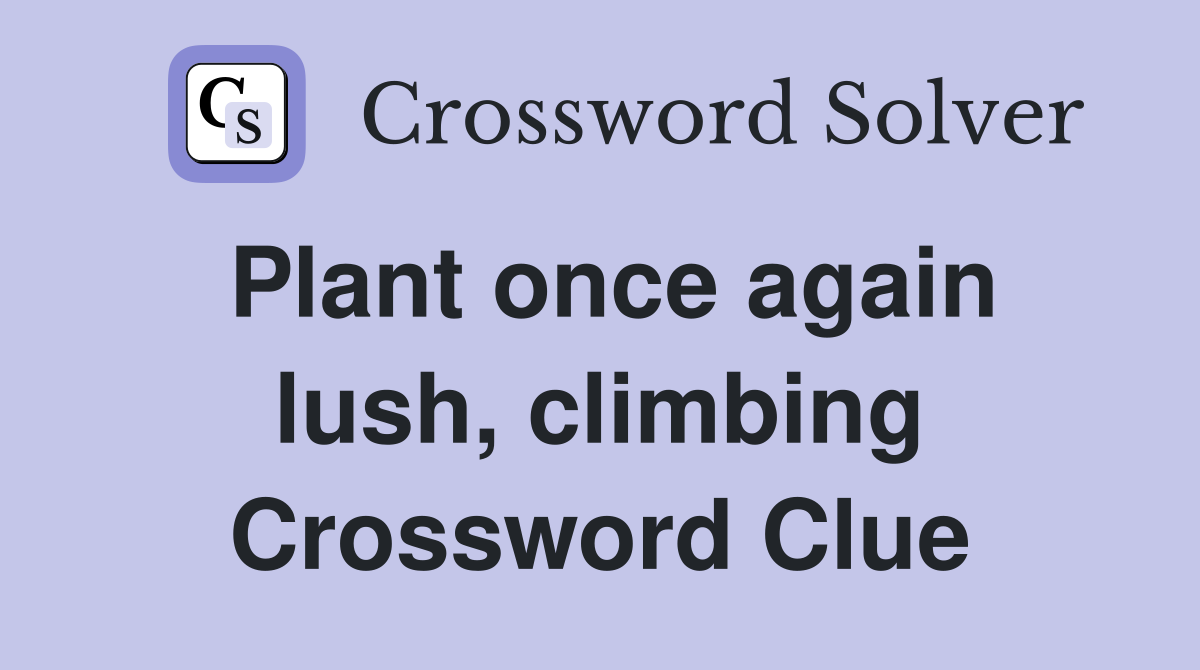 Plant once again lush, climbing Crossword Clue