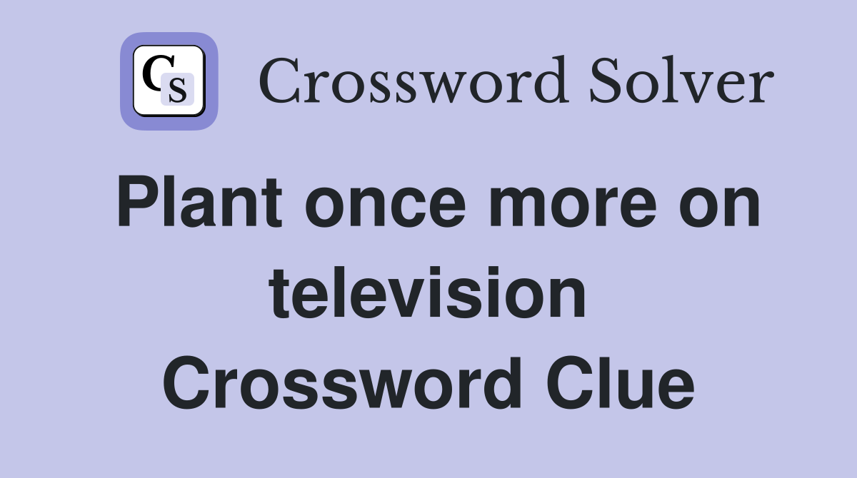 Plant once more on television Crossword Clue