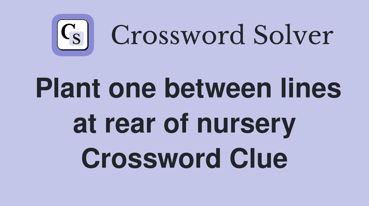 Plant one between lines at rear of nursery Crossword Clue