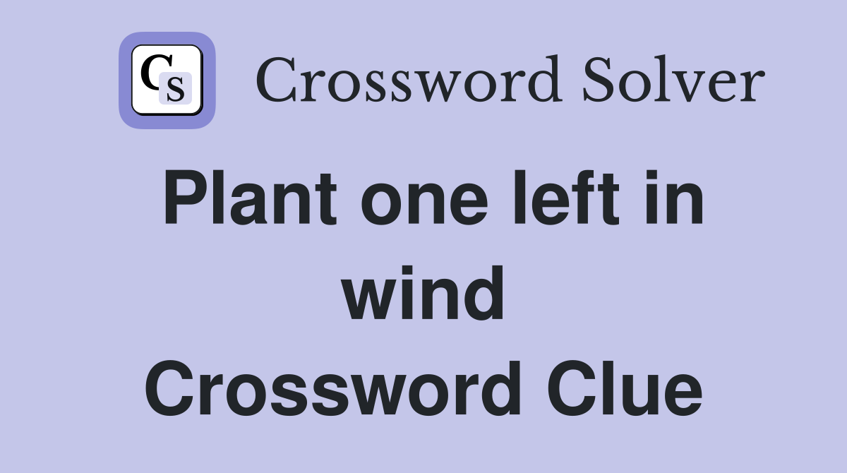 Plant one left in wind Crossword Clue