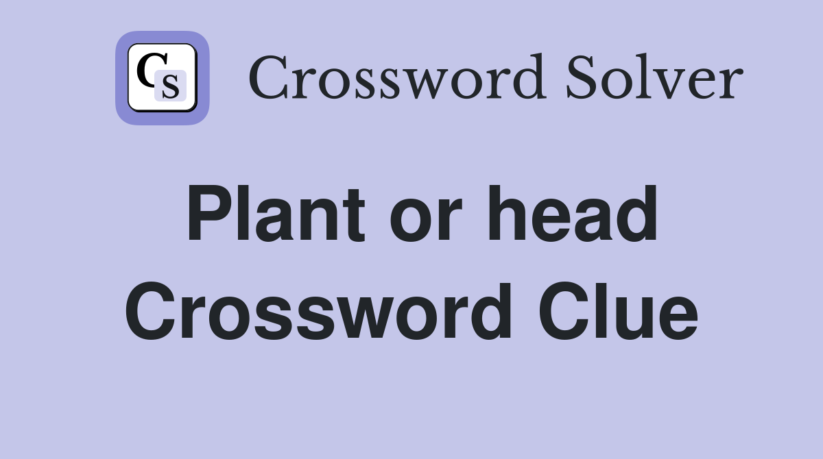 Plant or head Crossword Clue