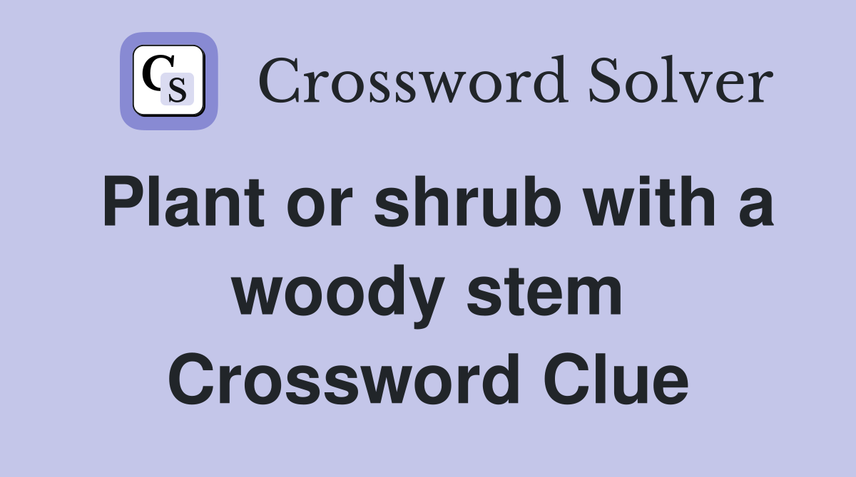 Plant or shrub with a woody stem Crossword Clue