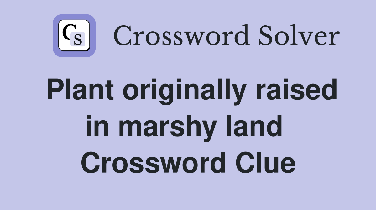 Plant originally raised in marshy land  Crossword Clue