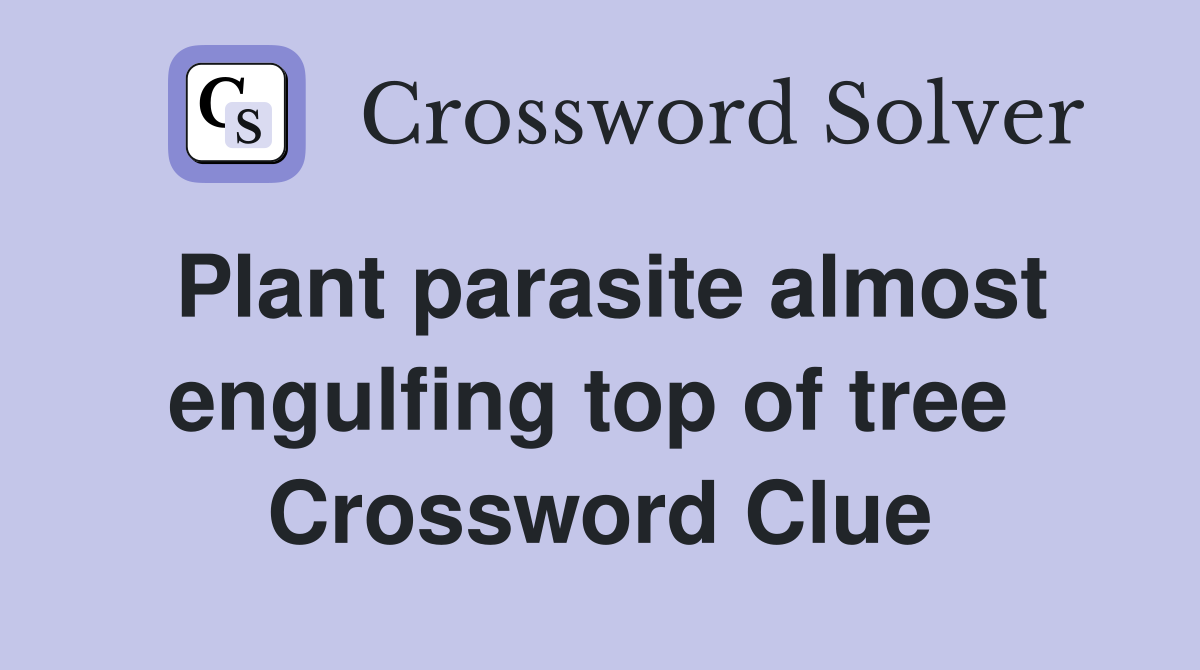 Plant parasite almost engulfing top of tree  Crossword Clue