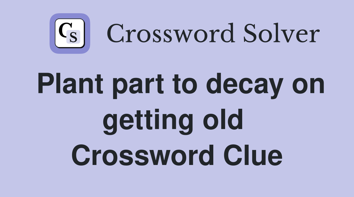 Plant part to decay on getting old  Crossword Clue