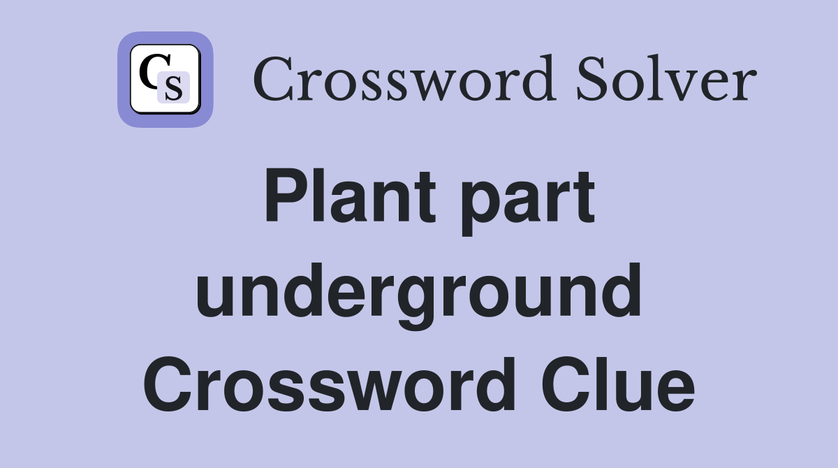 Plant part underground Crossword Clue