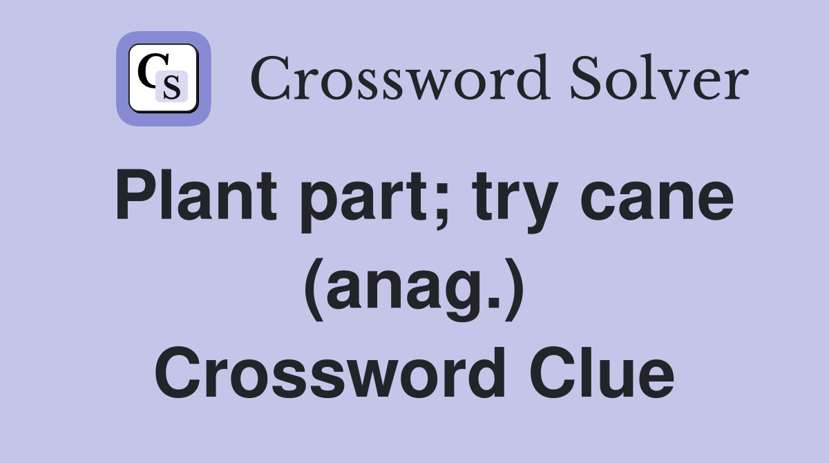 Plant part; try cane (anag.) Crossword Clue