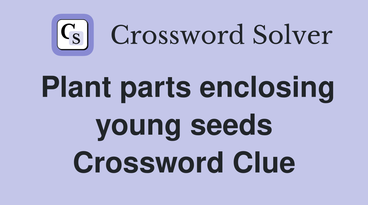 Plant parts enclosing young seeds Crossword Clue