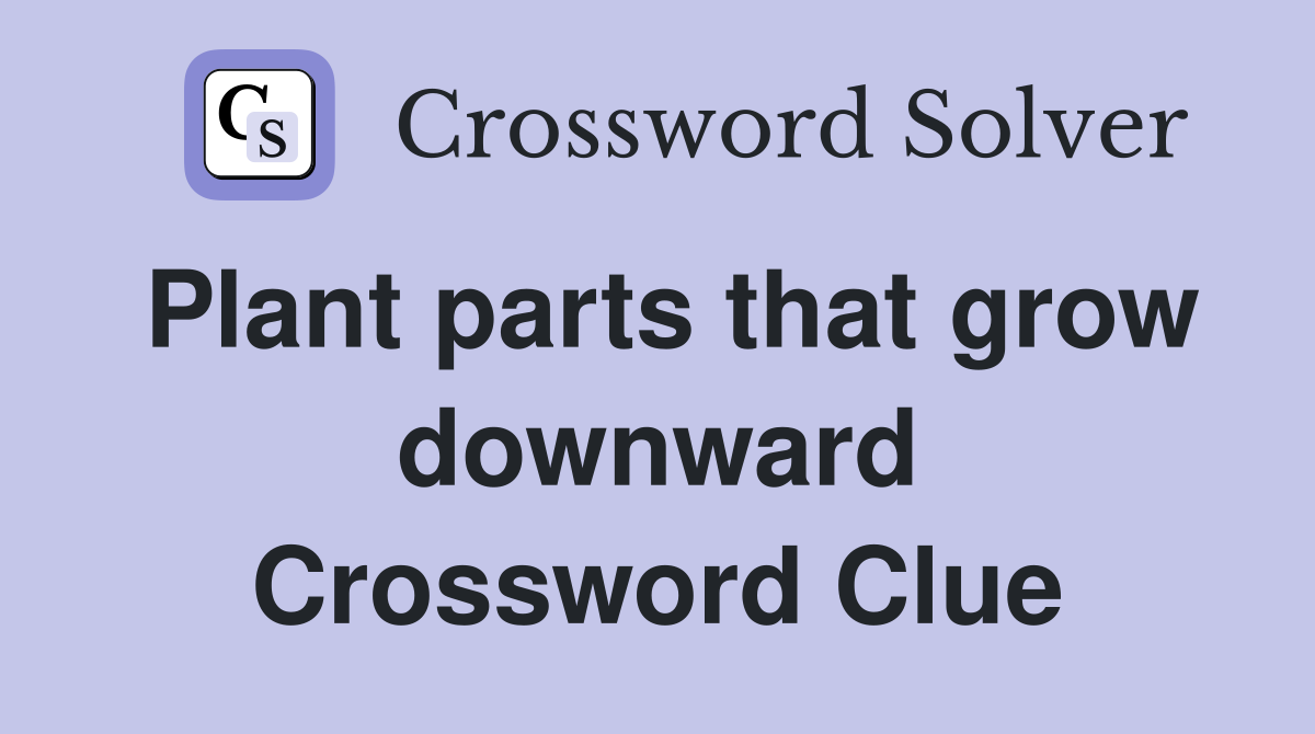 Plant parts that grow downward Crossword Clue