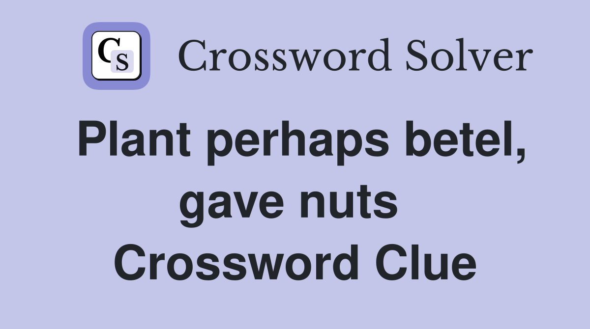 Plant perhaps betel, gave nuts  Crossword Clue