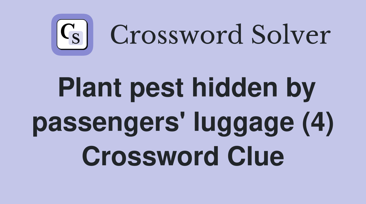 Plant pest hidden by passengers' luggage (4) Crossword Clue
