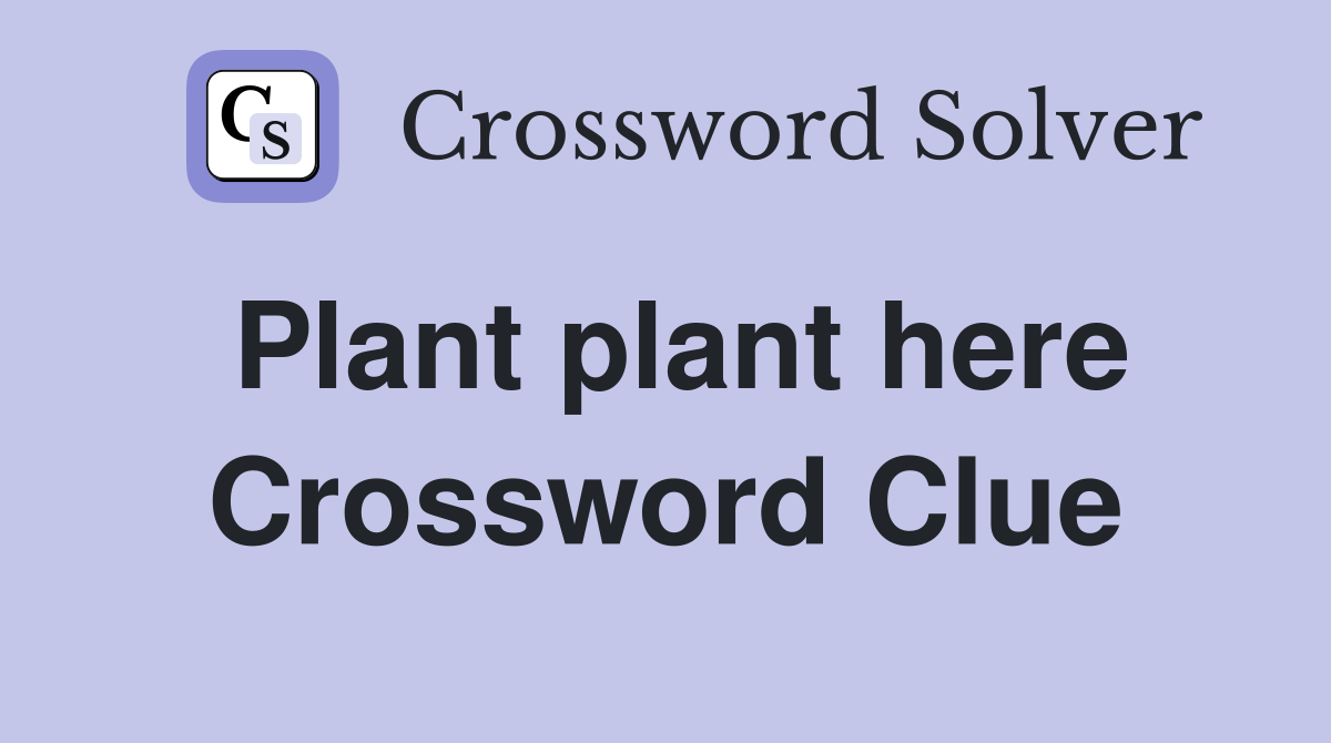 Plant plant here Crossword Clue