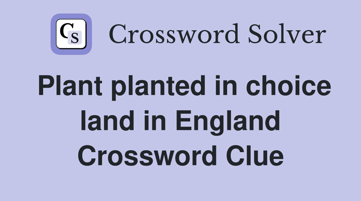 Plant planted in choice land in England Crossword Clue