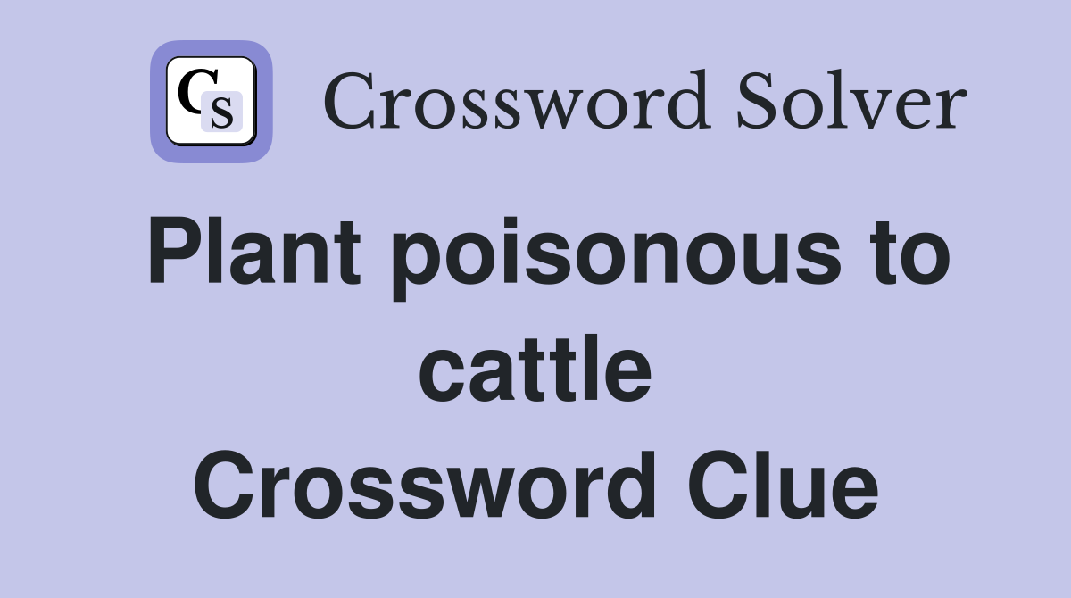 Plant poisonous to cattle Crossword Clue