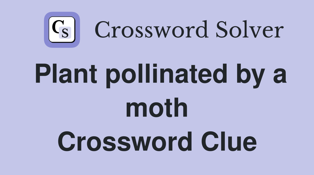 Plant pollinated by a moth Crossword Clue